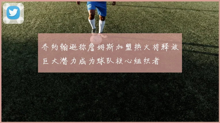 乔约翰逊称詹姆斯加盟热火将释放巨大潜力成为球队核心组织者